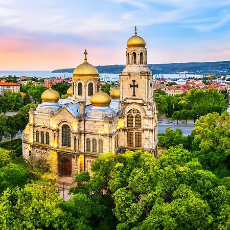 First Line Berlin Golden 310 Varna
